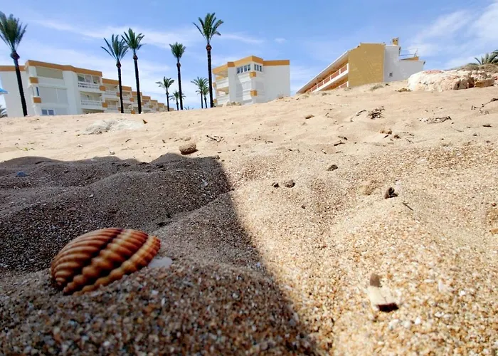 Apartment Oliver Playa *